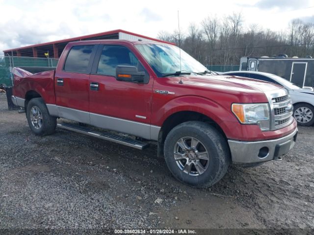 FORD F-150 2013 1ftfw1et0dfa51907