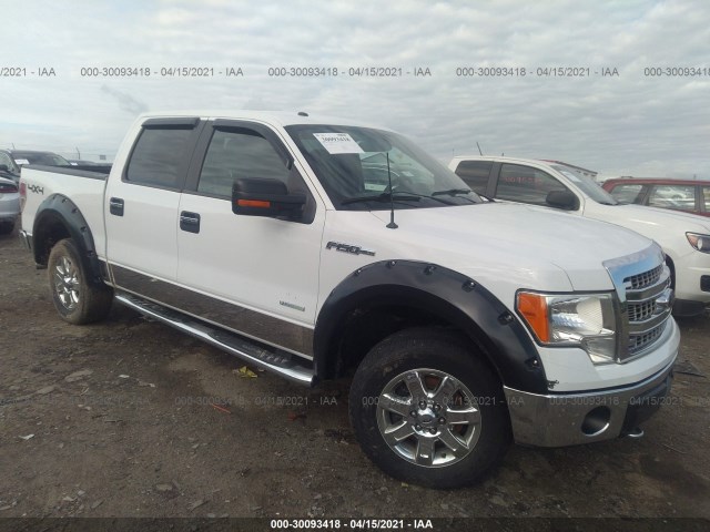 FORD F-150 2013 1ftfw1et0dfa76967