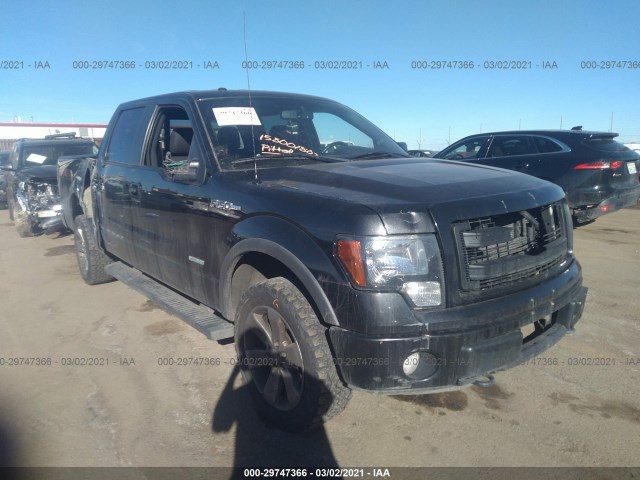 FORD F-150 2013 1ftfw1et0dfa81084