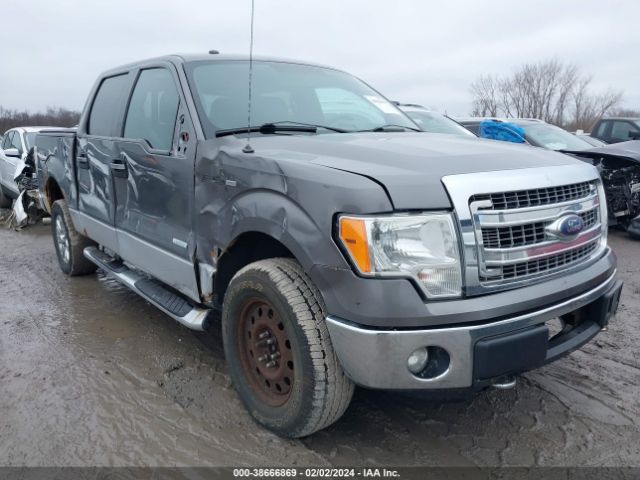 FORD F-150 2013 1ftfw1et0dfa88357