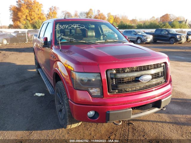 FORD F-150 2013 1ftfw1et0dfa89542