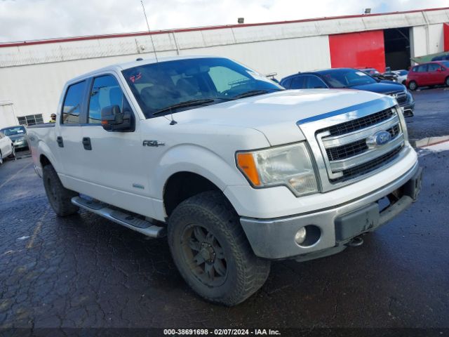 FORD F-150 2013 1ftfw1et0dfb11376