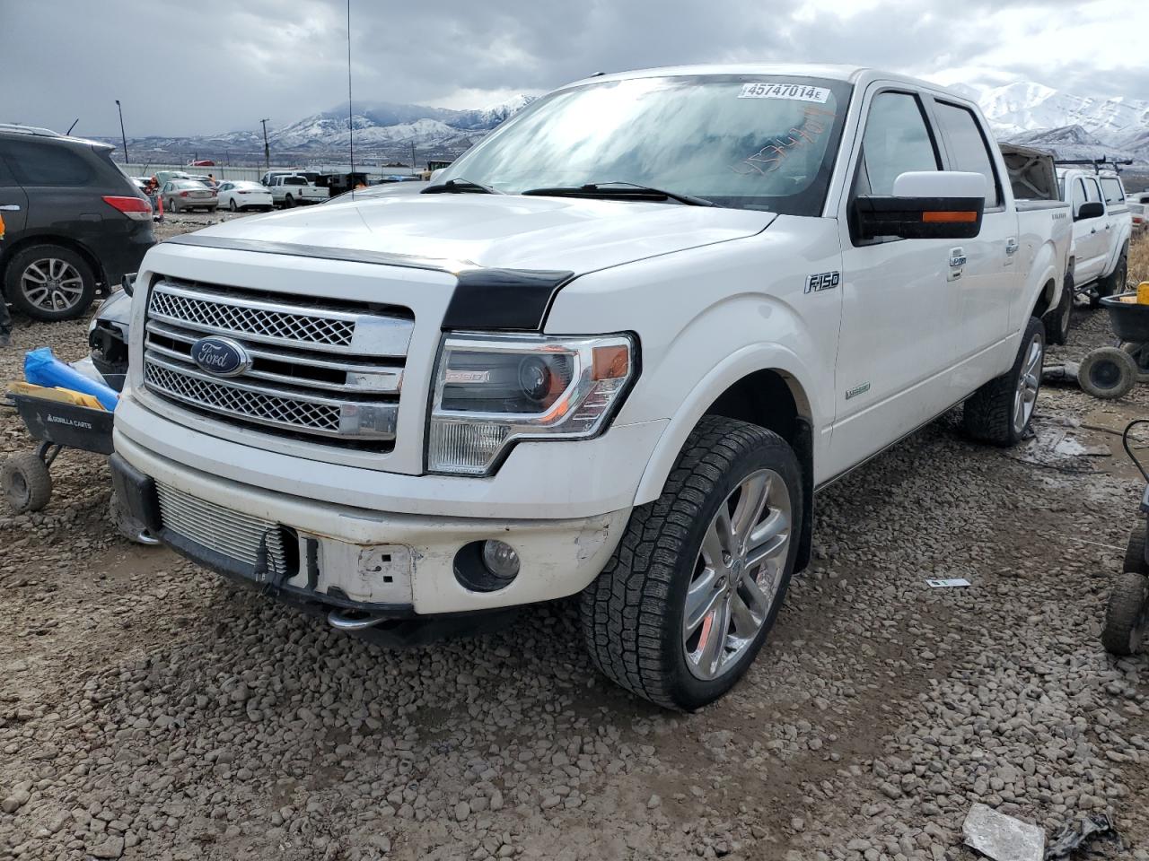 FORD F-150 2013 1ftfw1et0dfb24399