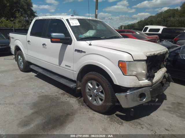 FORD F-150 2013 1ftfw1et0dfb30199