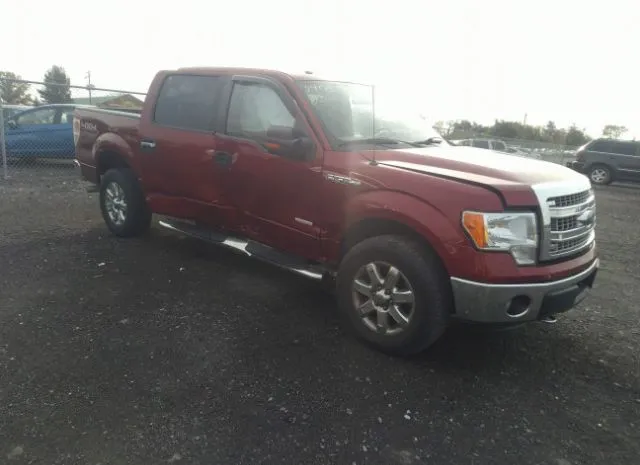 FORD F-150 2013 1ftfw1et0dfb40358