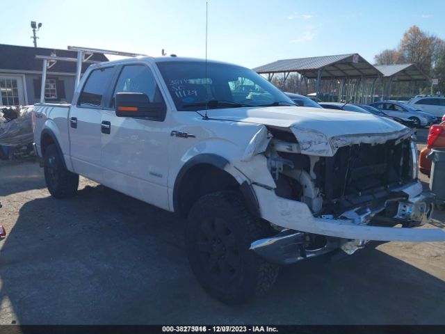 FORD F-150 2013 1ftfw1et0dfb42904