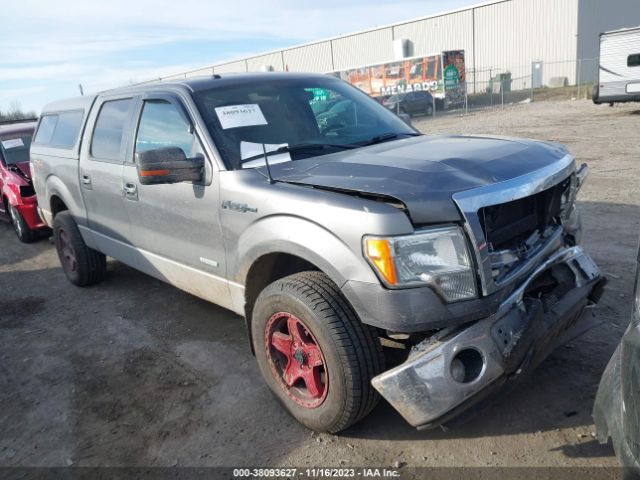 FORD F-150 2013 1ftfw1et0dfc48852