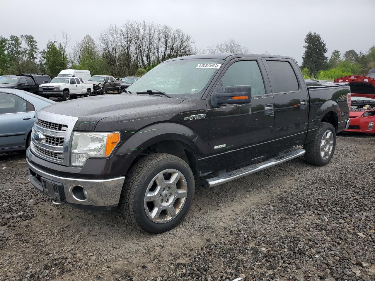 FORD F-150 2013 1ftfw1et0dfc63397