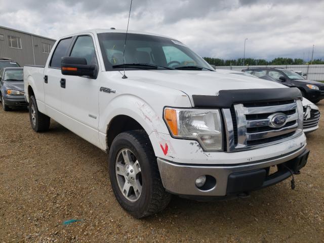 FORD F-150 2013 1ftfw1et0dfc74657