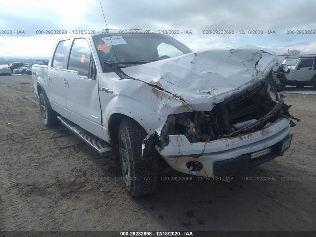 FORD F-150 2013 1ftfw1et0dfd05129