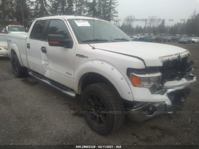 FORD F-150 2013 1ftfw1et0dfd20875