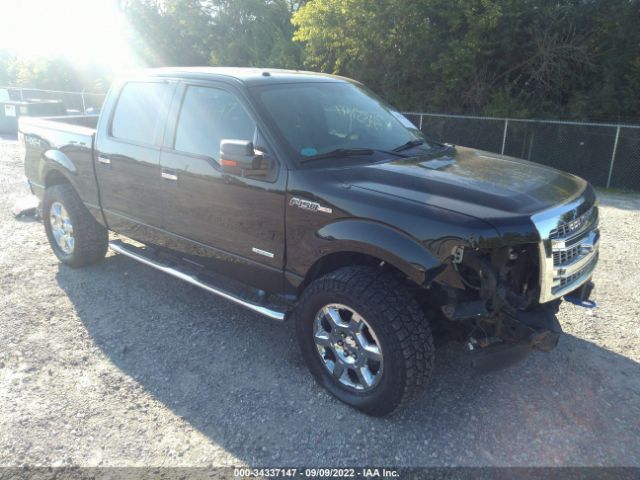 FORD F-150 2013 1ftfw1et0dfd38969