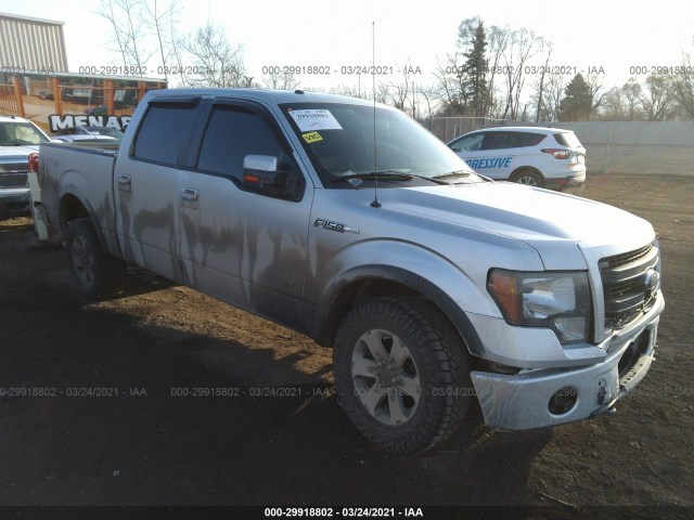 FORD F-150 2013 1ftfw1et0dfd59823