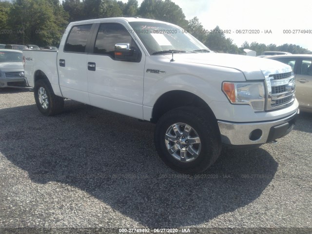 FORD F-150 2013 1ftfw1et0dkd45511