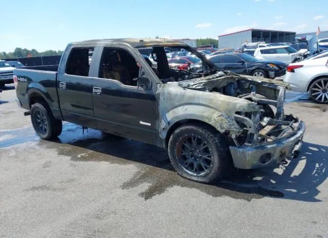 FORD F-150 2013 1ftfw1et0dke32647