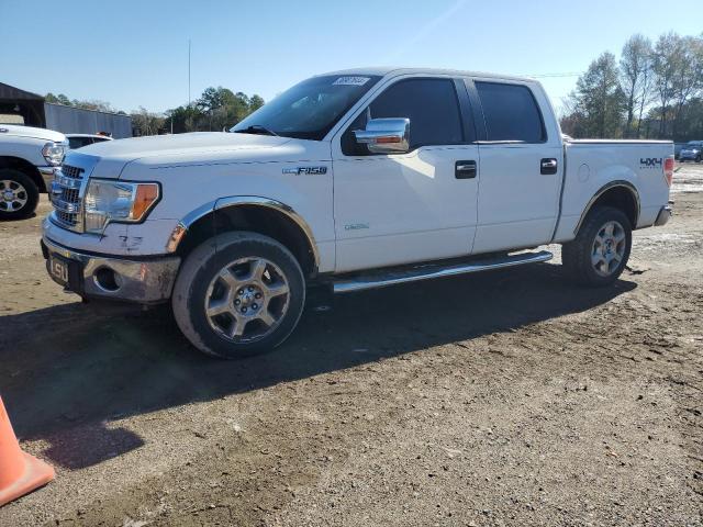 FORD F-150 2013 1ftfw1et0dkf09503