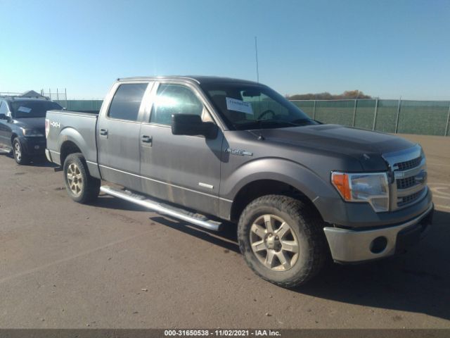 FORD F-150 2013 1ftfw1et0dkf26057