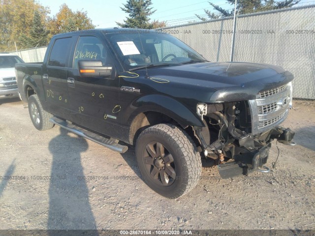 FORD F-150 2013 1ftfw1et0dkf47846