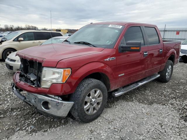 FORD F-150 2013 1ftfw1et0dkf59950