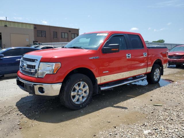 FORD F-150 2013 1ftfw1et0dkg08466