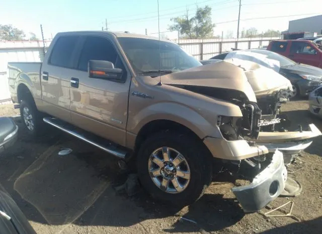 FORD F-150 2013 1ftfw1et0dkg26546