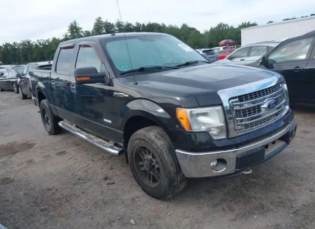 FORD F-150 2013 1ftfw1et0dkg37224