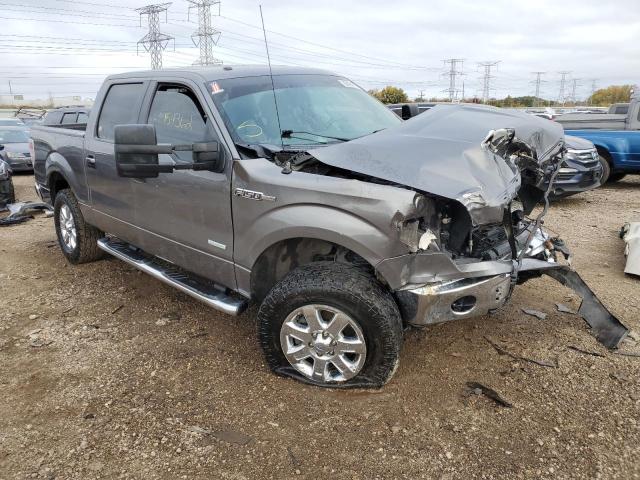 FORD F-150 2013 1ftfw1et0dkg42701