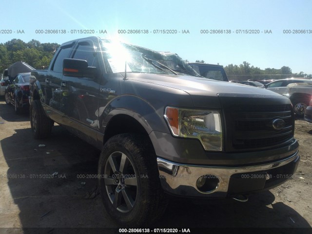 FORD F-150 2014 1ftfw1et0efa23509