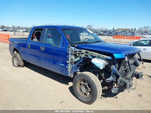 FORD F-150 2014 1ftfw1et0efa64643