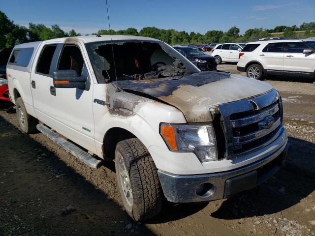 FORD F150 SUPER 2014 1ftfw1et0efa65310