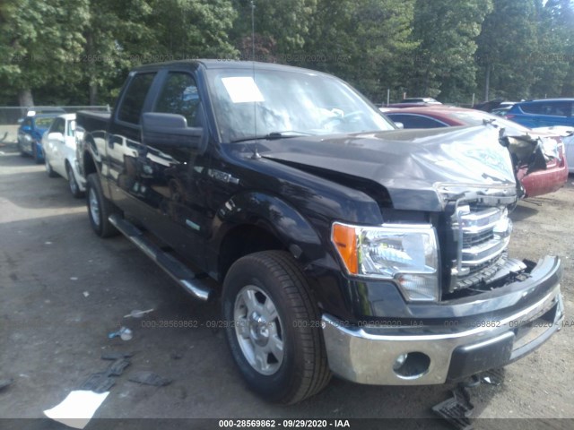 FORD F-150 2014 1ftfw1et0efc35441