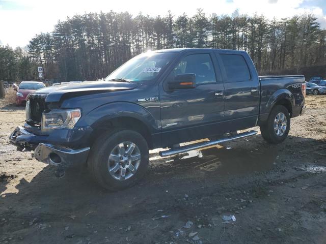 FORD F-150 2014 1ftfw1et0efd01969