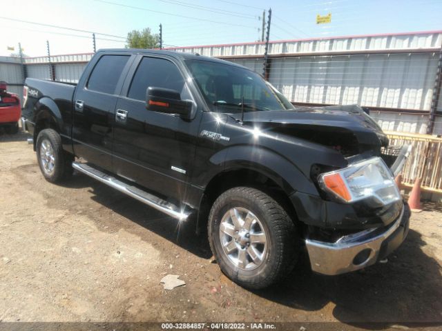 FORD F-150 2014 1ftfw1et0ekd04524