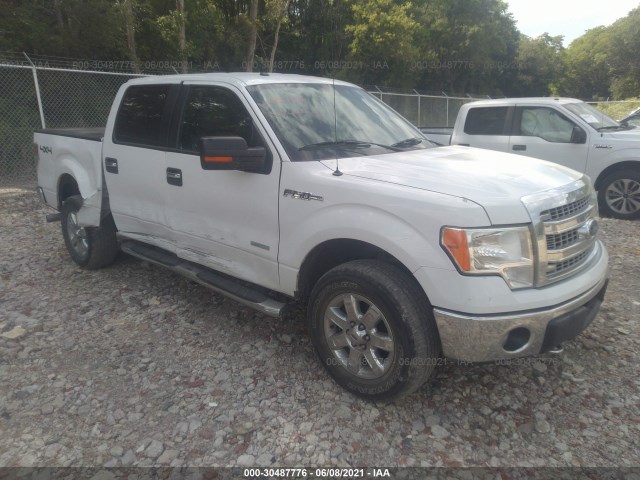 FORD F-150 2014 1ftfw1et0eke72941