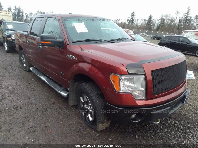 FORD F-150 2014 1ftfw1et0ekf12662