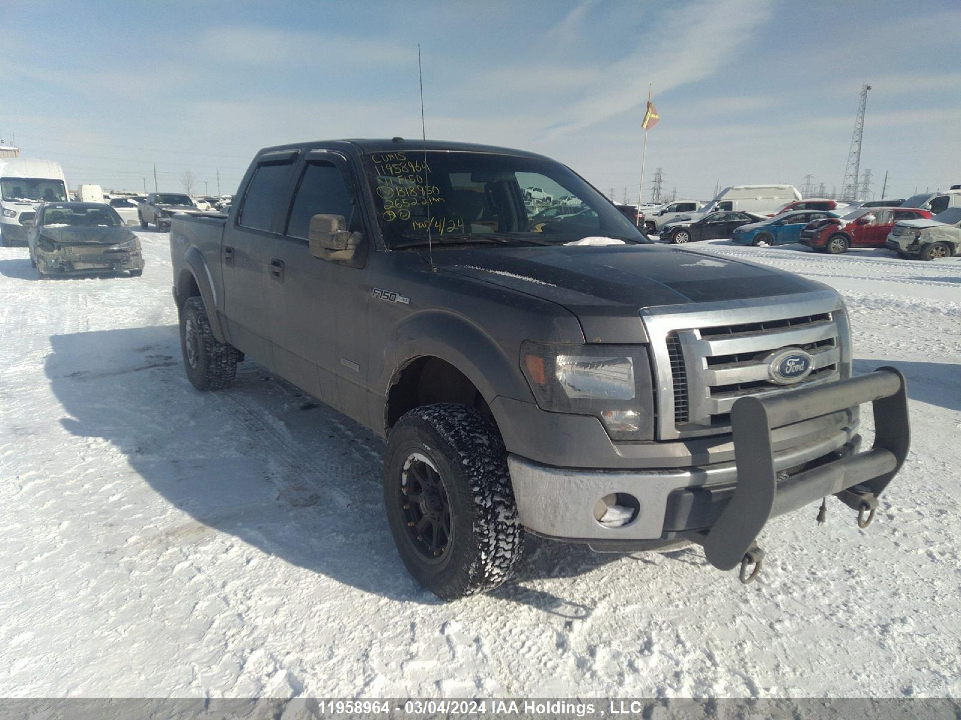 FORD F-150 2011 1ftfw1et1bfb18950