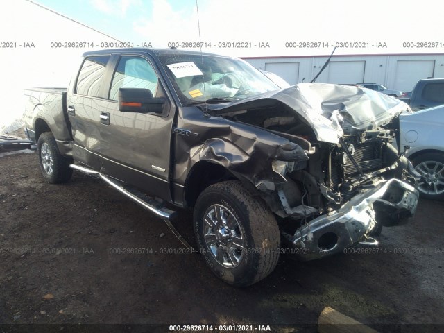 FORD F-150 2011 1ftfw1et1bfb49017