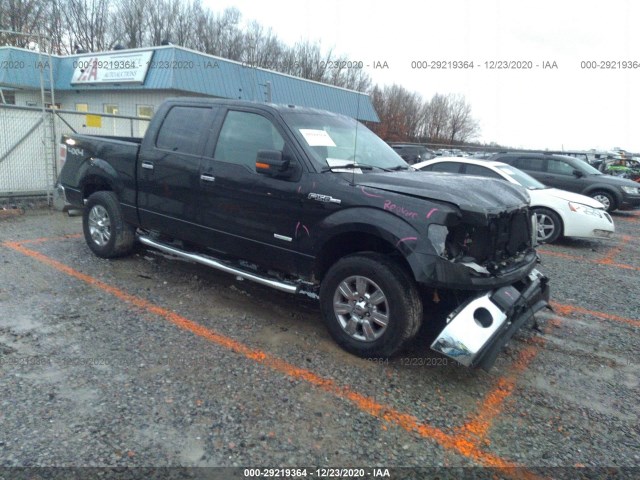 FORD F-150 2011 1ftfw1et1bfb60292