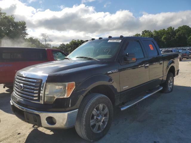 FORD F-150 2011 1ftfw1et1bfb64018