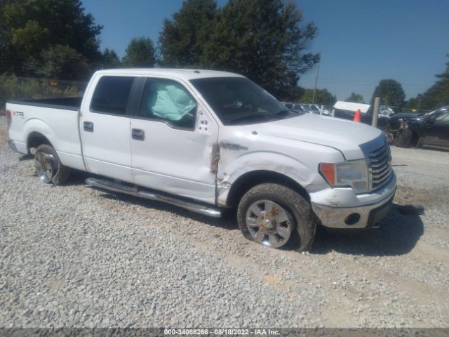 FORD F-150 2011 1ftfw1et1bfc32074