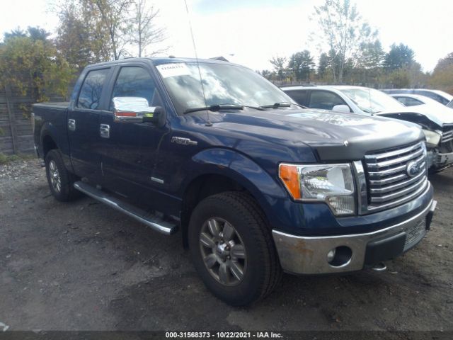 FORD F-150 2011 1ftfw1et1bfc33144