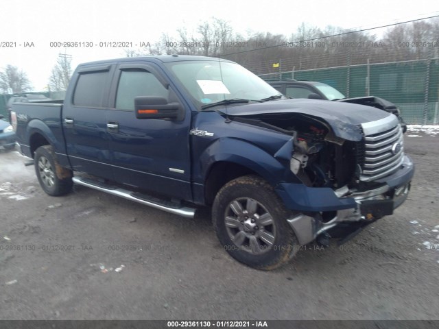 FORD F-150 2011 1ftfw1et1bfc56956