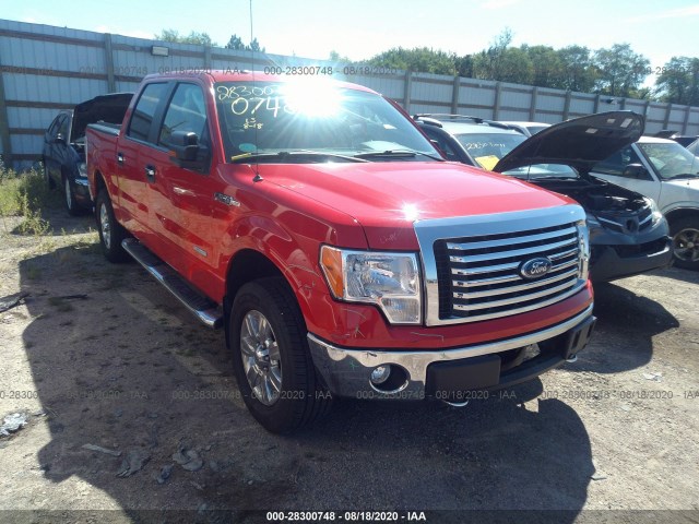 FORD F-150 2011 1ftfw1et1bfc65673