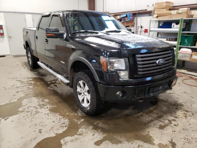 FORD F150 SUPER 2011 1ftfw1et1bfc67844