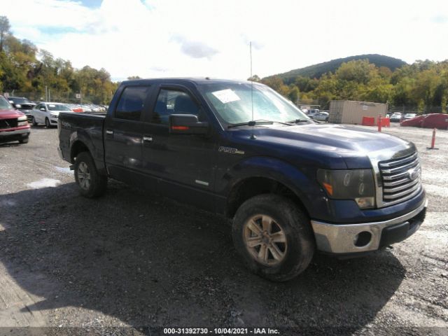 FORD F-150 2011 1ftfw1et1bfc84417