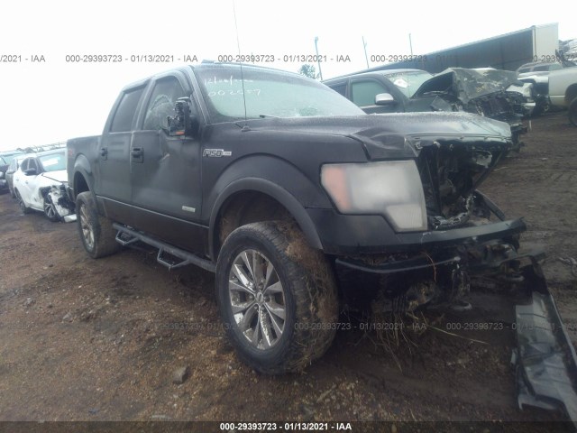 FORD F-150 2011 1ftfw1et1bfc85423