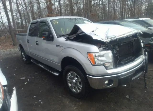 FORD F-150 2011 1ftfw1et1bfd04245