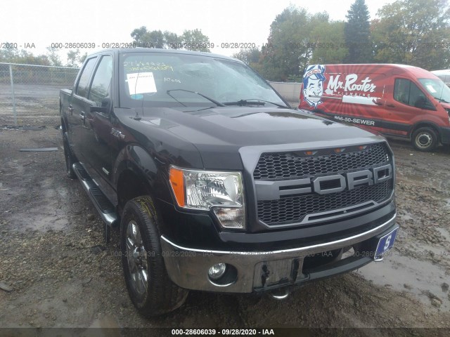 FORD F-150 2011 1ftfw1et1bfd07274