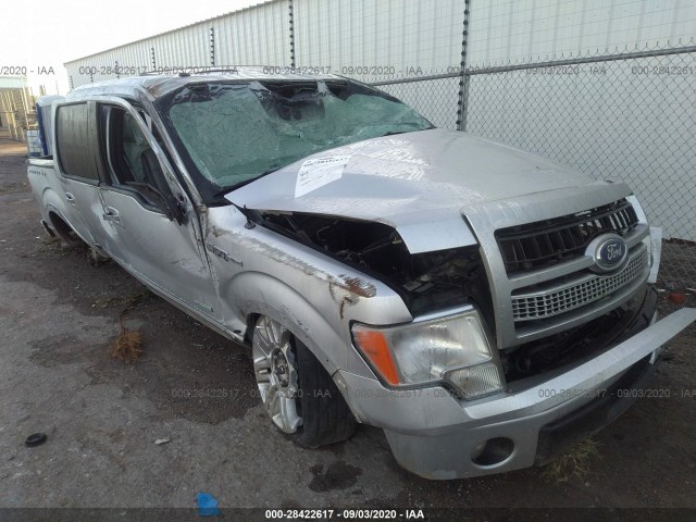 FORD F-150 2011 1ftfw1et1bfd10479