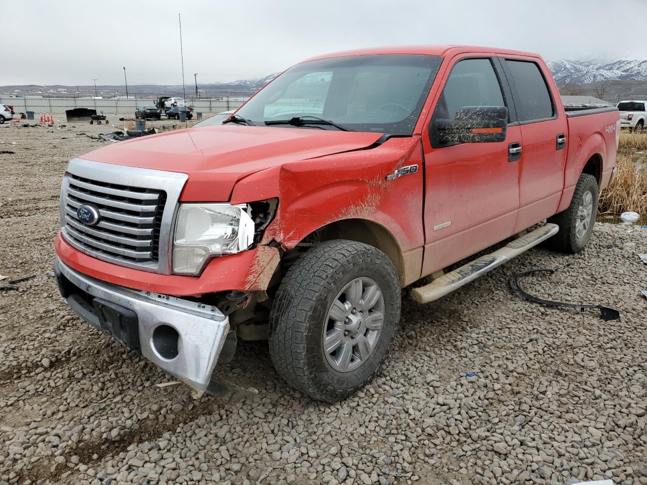 FORD F-150 2011 1ftfw1et1bfd12684